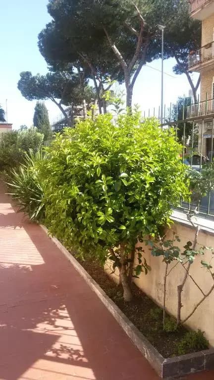 La Casetta Gialla di Edoardo - photo 7