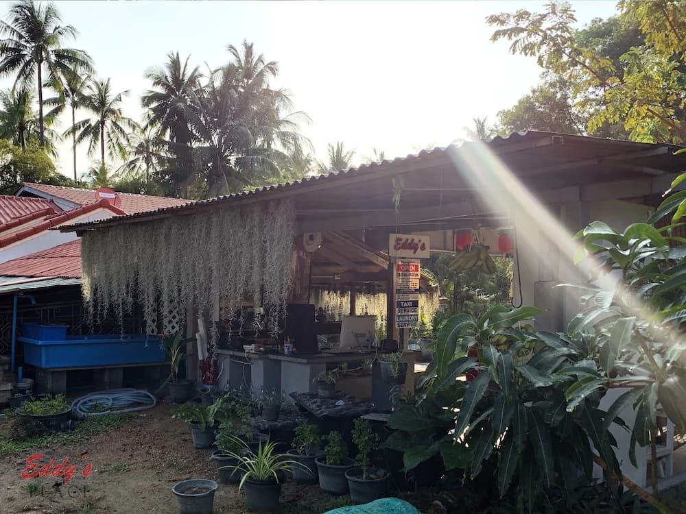 Eddy's Place - photo 15