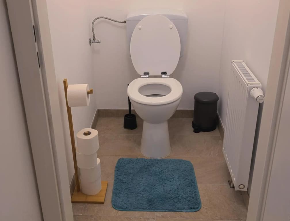 Gesamte Unterkunft über den Dächern Wiens - photo 6