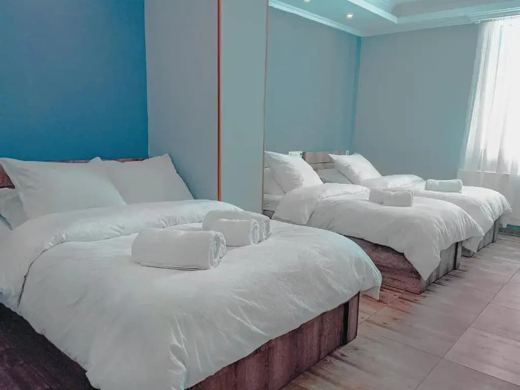 Tbilisi Hotel Serenity - photo 6