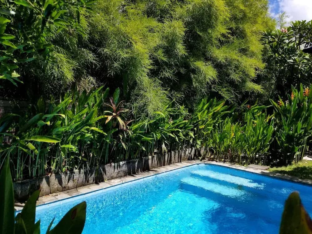 Kampoeng Bamboo - photo 16