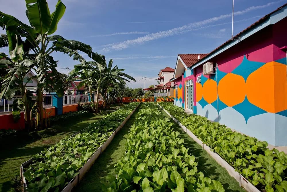 MBI Desaku Homestay - photo 25