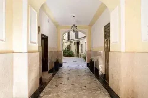 I Gatti di Roma - BB - photo 10