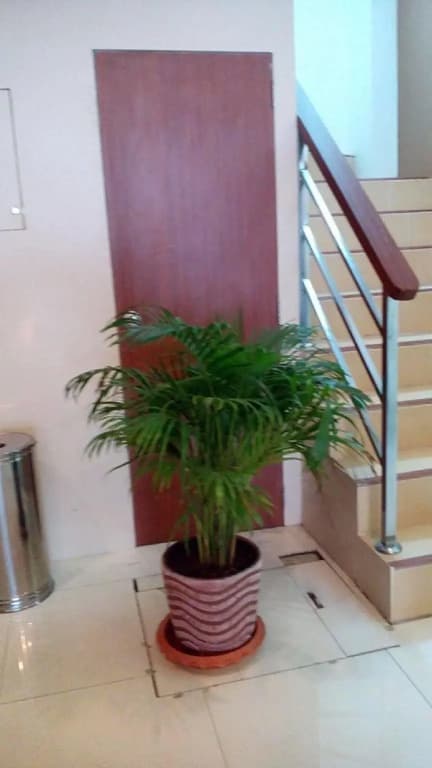 Phuket Iyh Express Hostel - photo 11