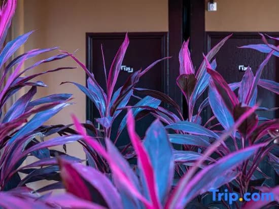 Semporna Seaview Hotel - photo 9