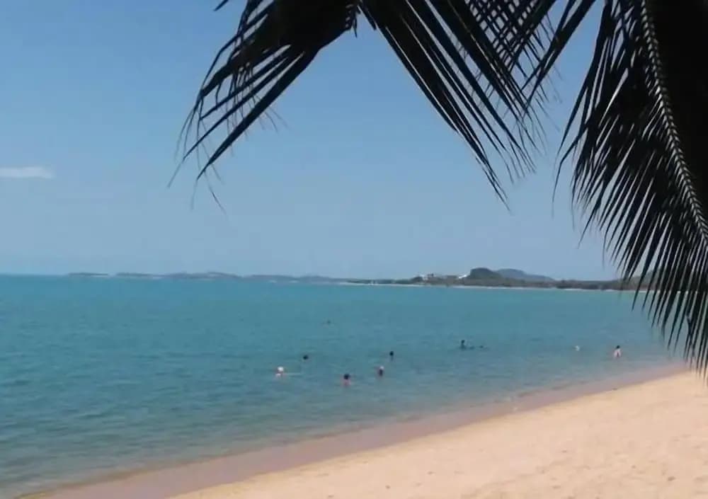 Shady Resort - photo 12