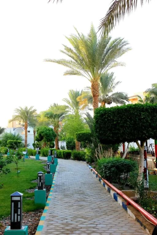Grand Blue Hotels - photo 8