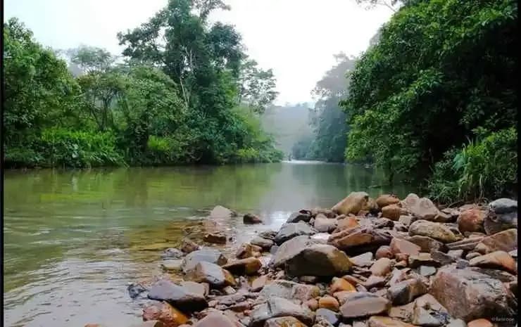 Selesa View Gambang - photo 15