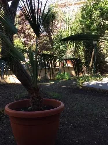 Figlie Di Maria Missionarie - photo 14