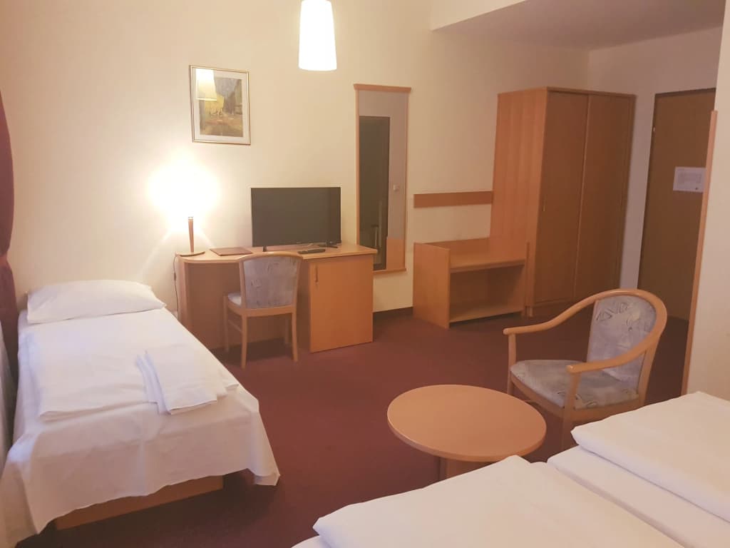 Hotel Haydn - photo 36