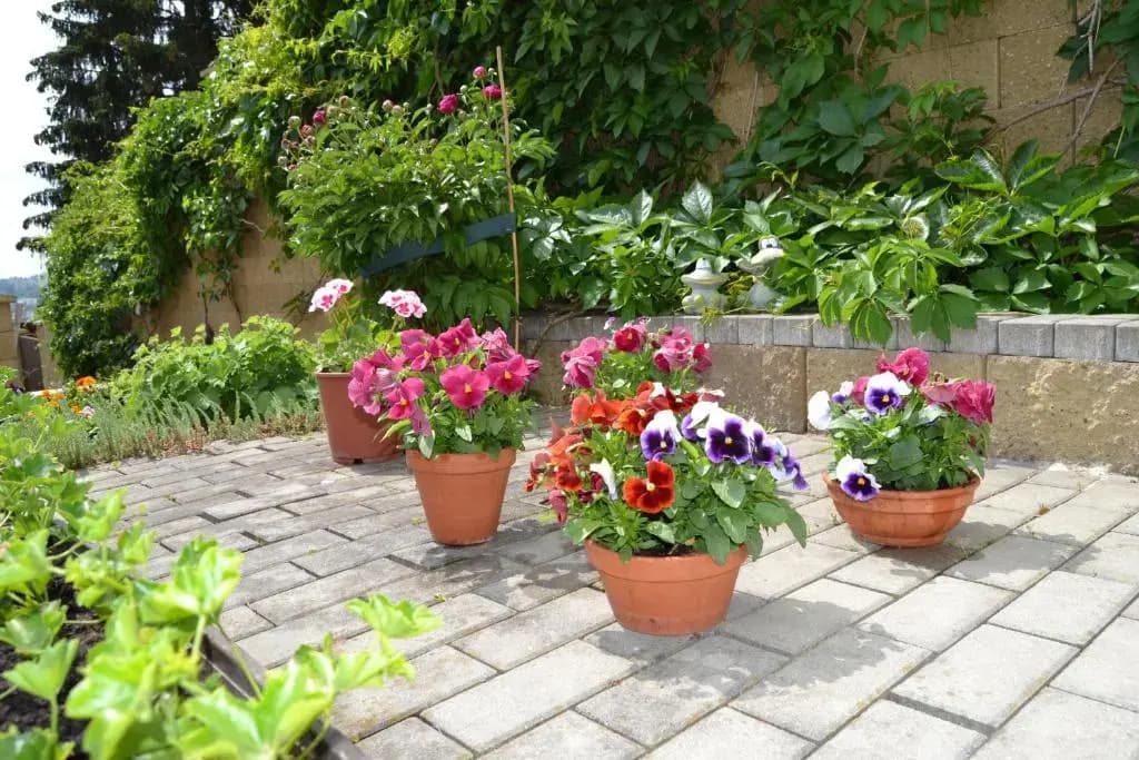Pension Nika - photo 15