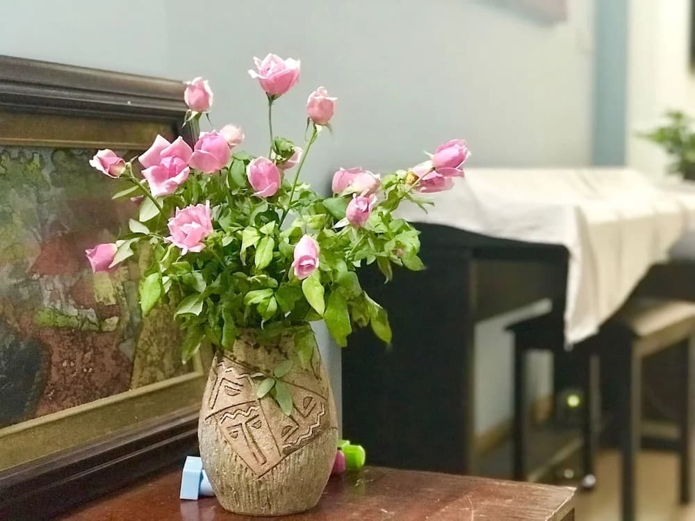 The Rose Home - photo 15