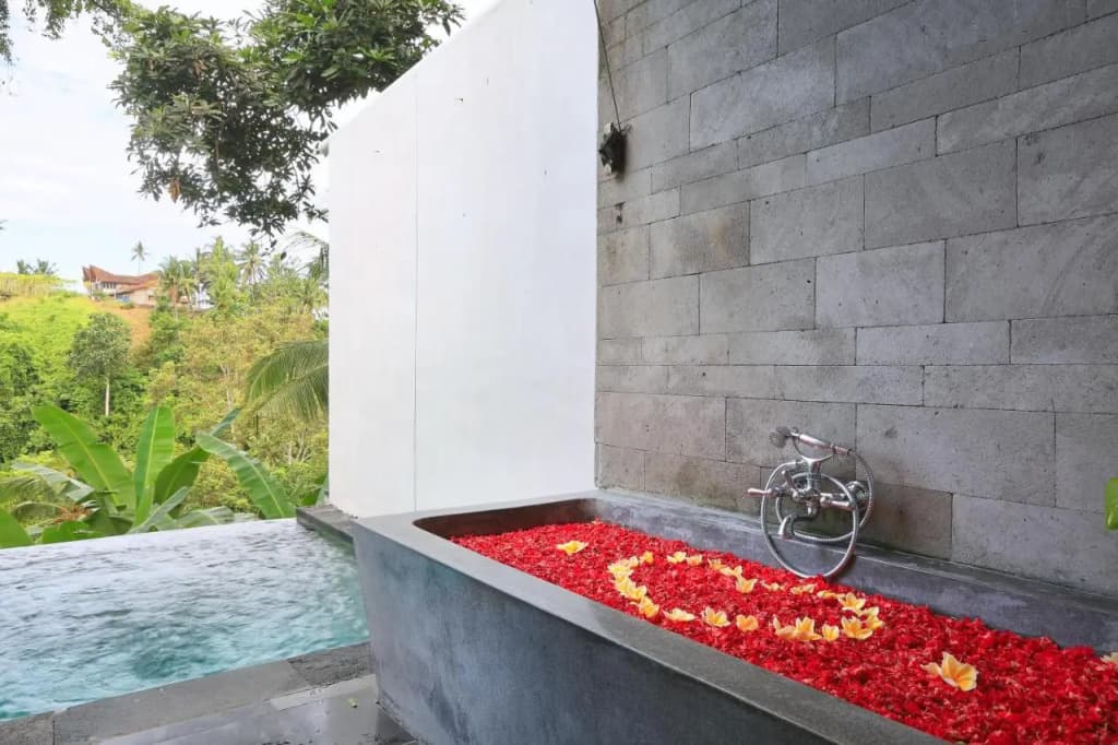 Amora Ubud Boutique Villas - photo 38
