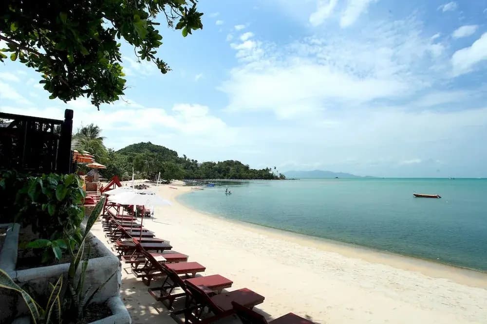 Sandy Resort - photo 13