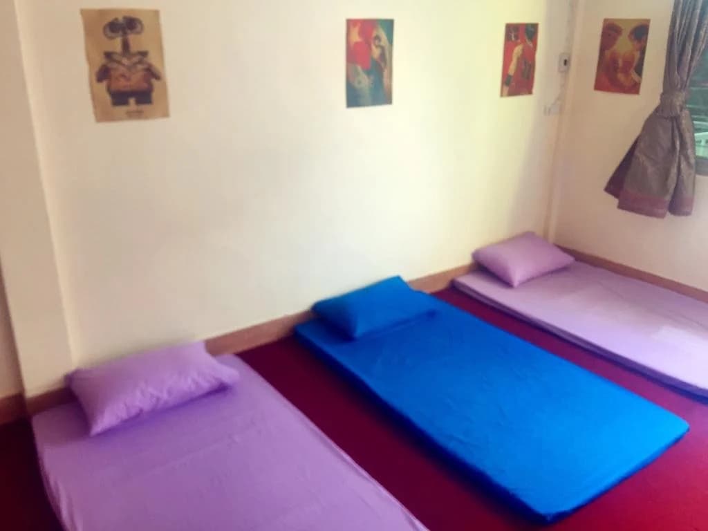 Small Elephant Hostel - photo 4