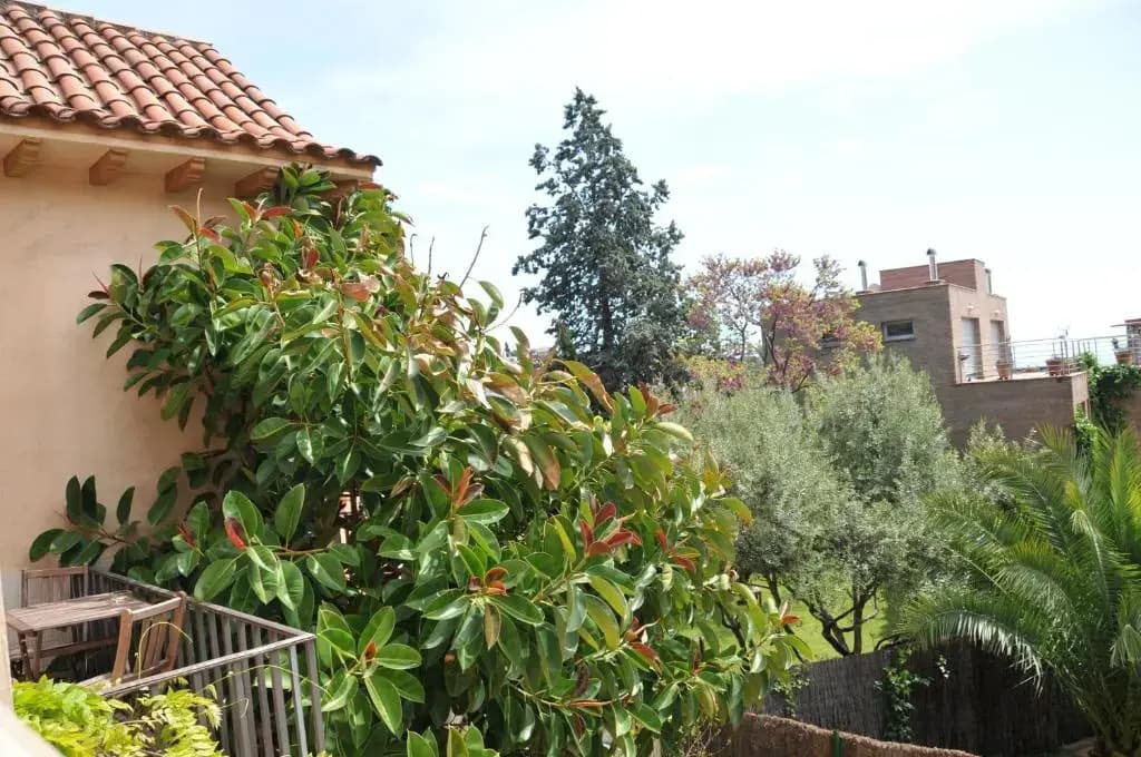 Tibidabo Apartments - photo 14
