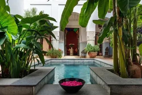 Riad Azzar - photo 15