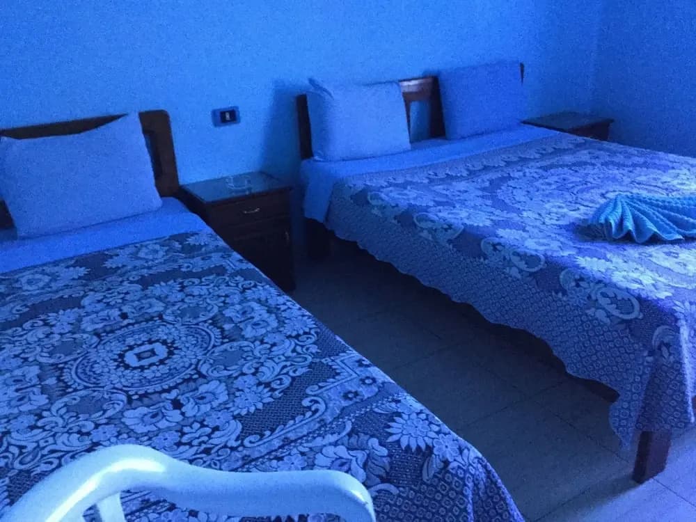 Hostel Luna - photo 3