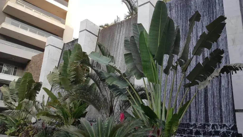 Sheraton Ocean 401 - No Pool Access - photo 15