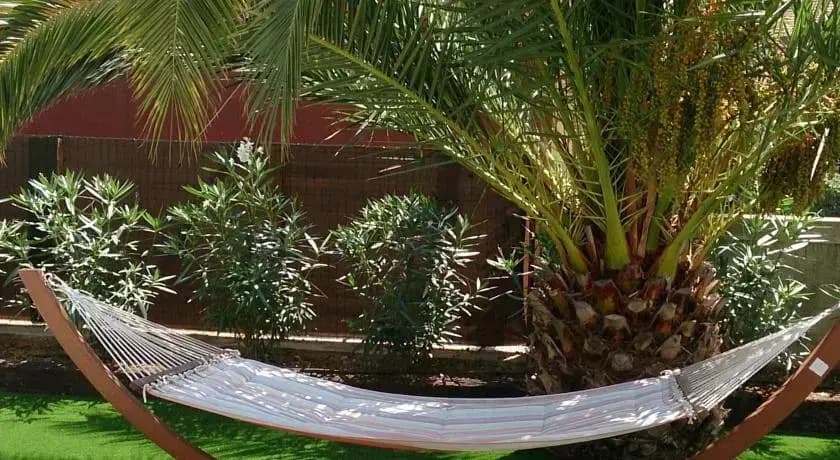 Les Palmiers - photo 2