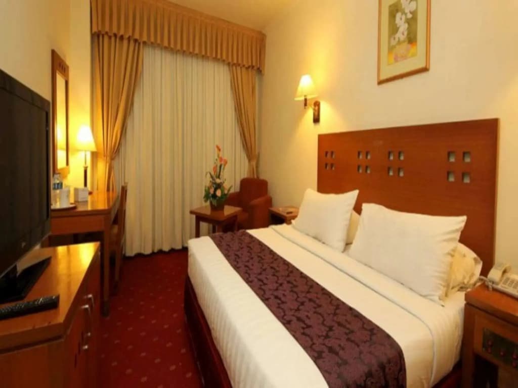 Hotel Maharani - photo 4