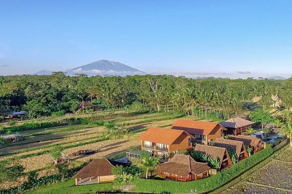 Alam Kawi Ubud Resort & Spa - photo 12