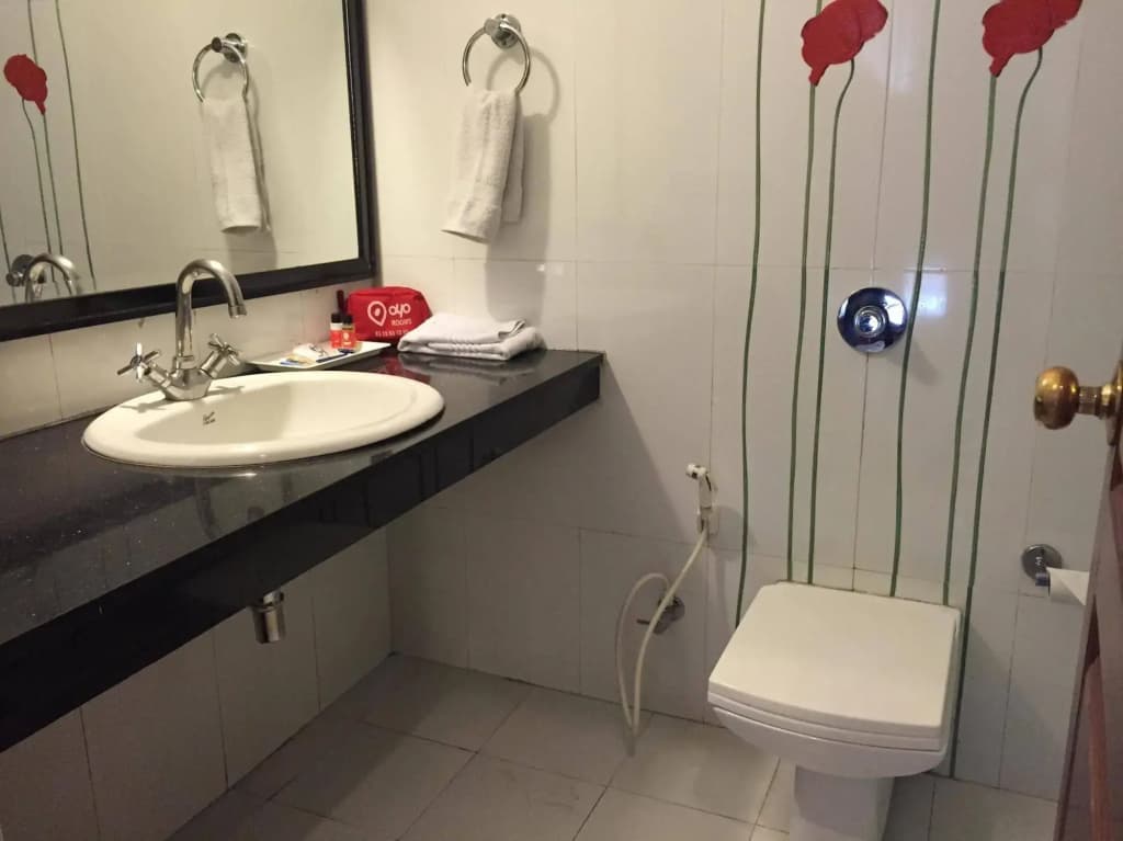 Hotel Comfort Zone Greater Kailash - photo 8