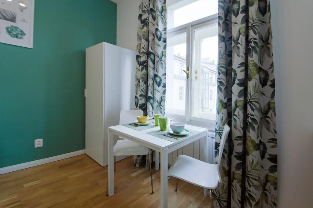 Modern apartment Spanelska - photo 1