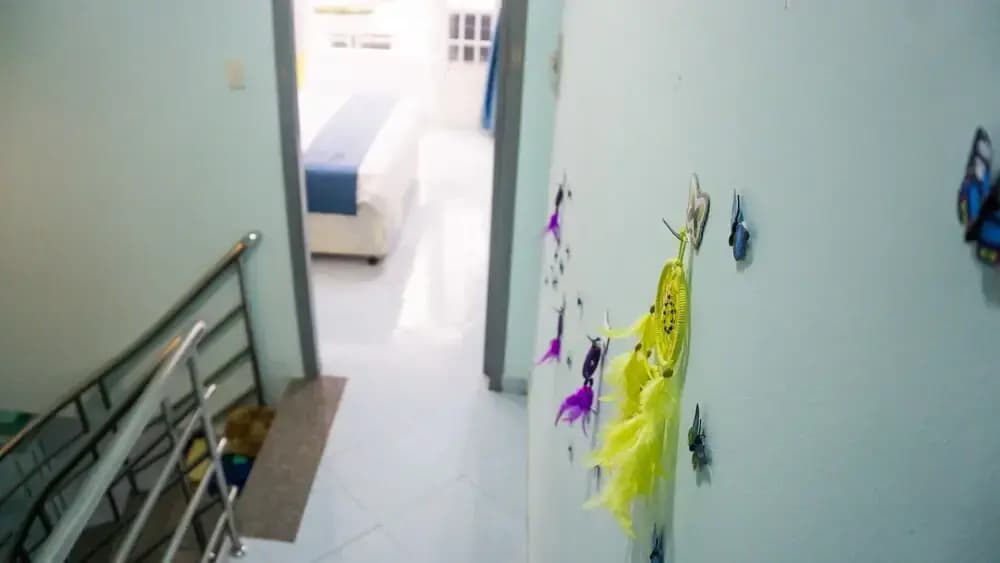Sunny's House - photo 6