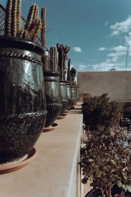 Riad Valentine - photo 2