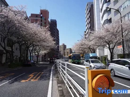Real Life HIROO - photo 4