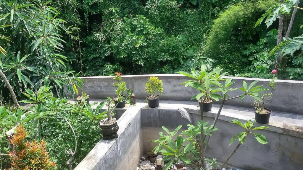 Karma House Ubud - photo 21