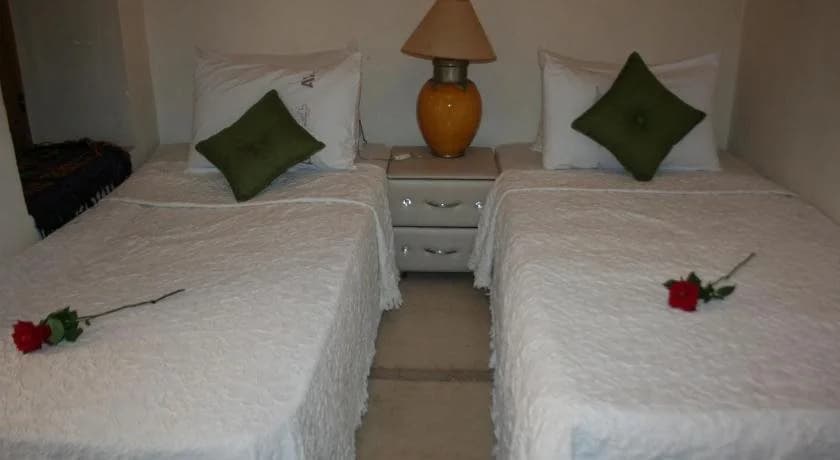 Riad Alghani - photo 4
