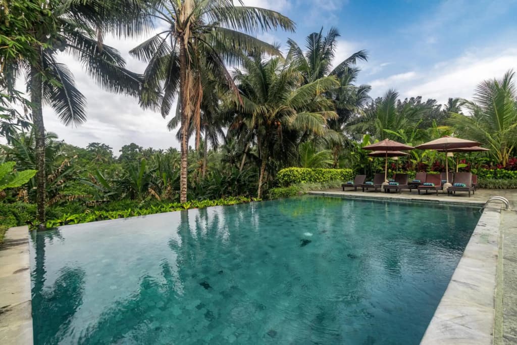 Pertiwi Bisma Ubud Resort - photo 44