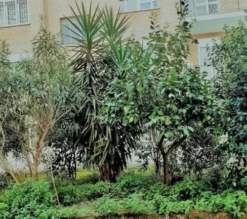 Casa Rosi - main photo