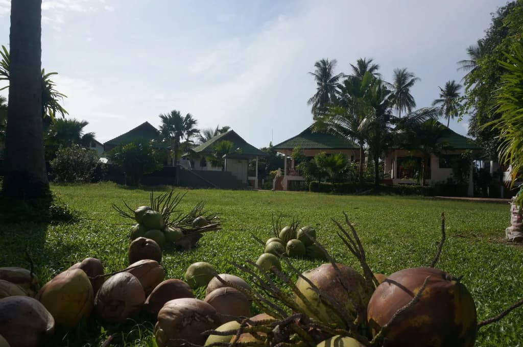 Baannoksuan Resort Samui - photo 16