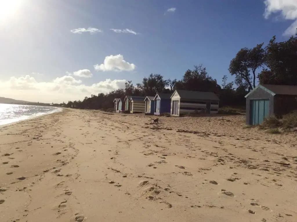 Beach Front Springs - photo 9
