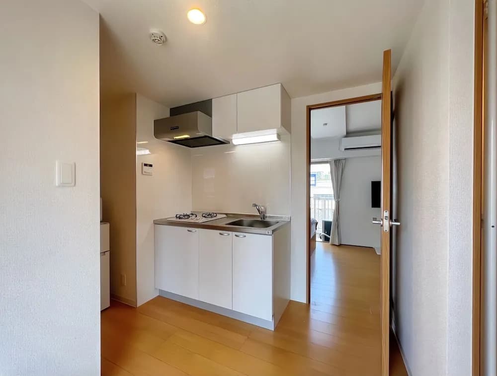 NALY. TENMA AFP Apartment - photo 8