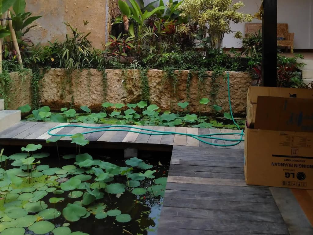 Lotus Villa Ubud - photo 12