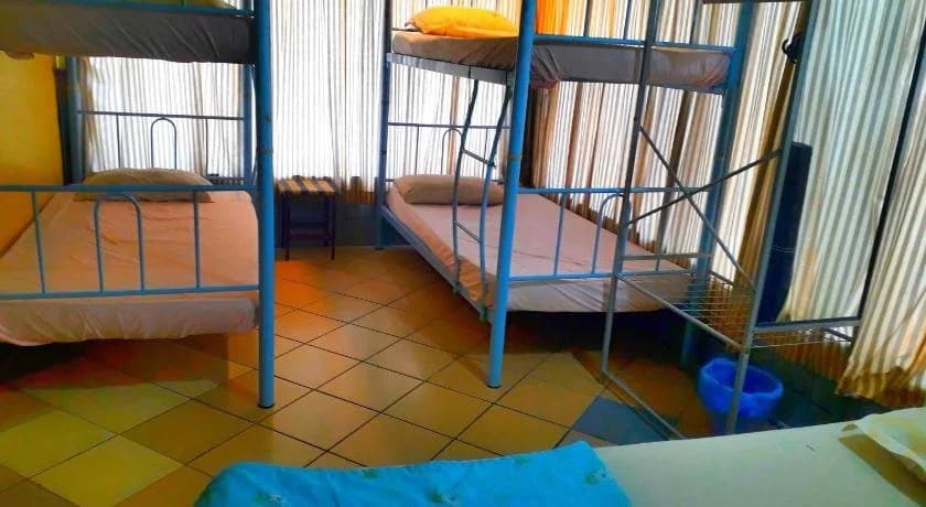 Rose GuestHouse - photo 10