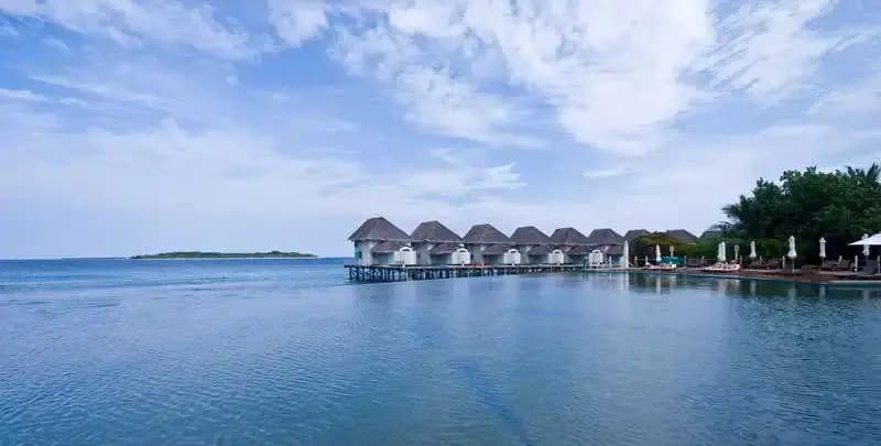 J Resort Alidhoo - photo 8