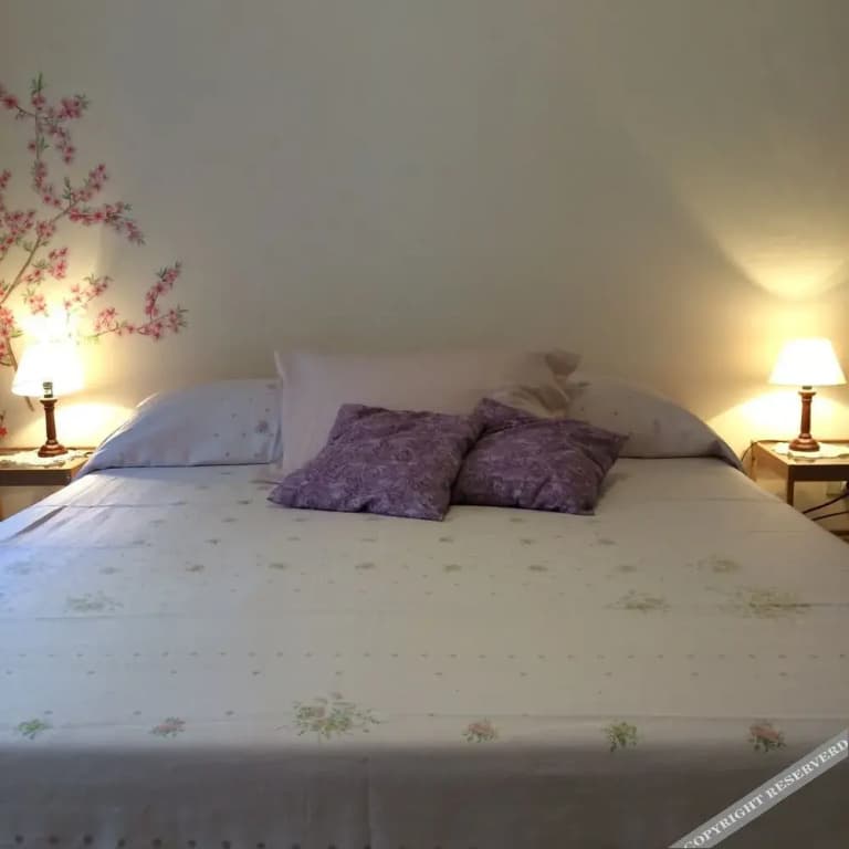 Rosa's House - photo 9