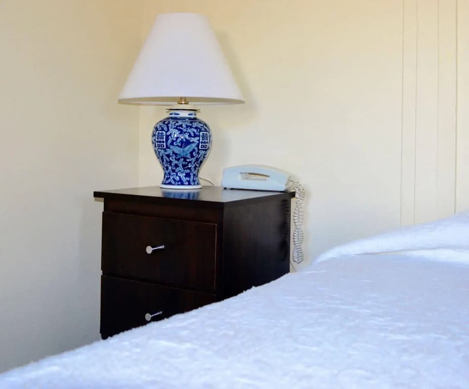 Richmond Hill Hotel - photo 4