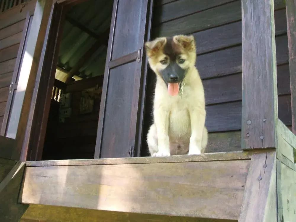 Layan Natural Bungalow - photo 9