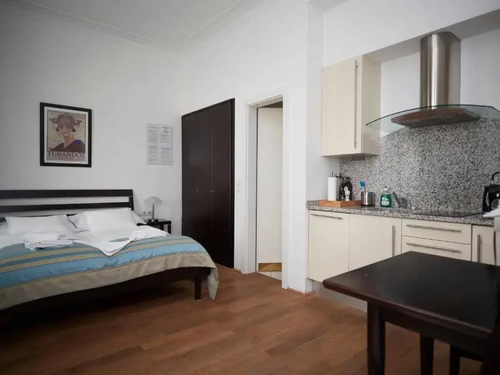 Vienna Studio Apartments - photo 14