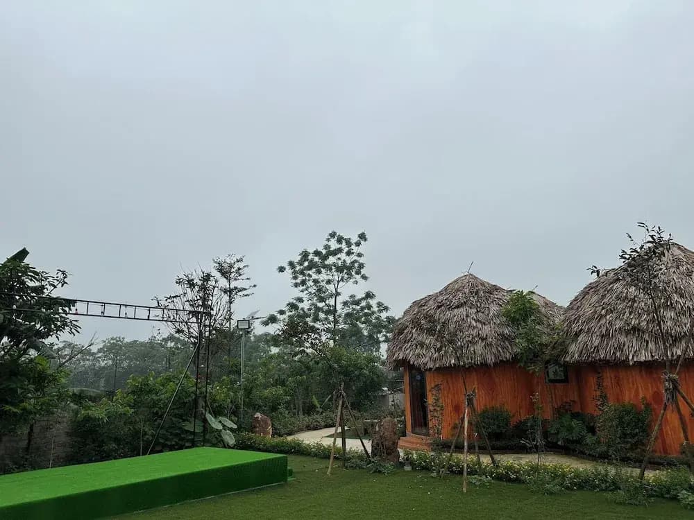 King Bavi Resort - photo 22