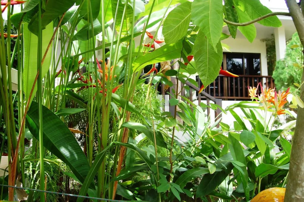 Baan Sawan Samui Resort - photo 17