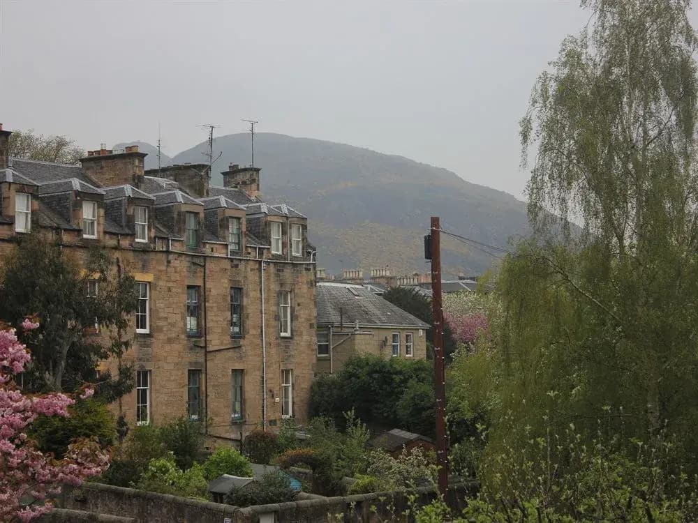 City Guest House - photo 15