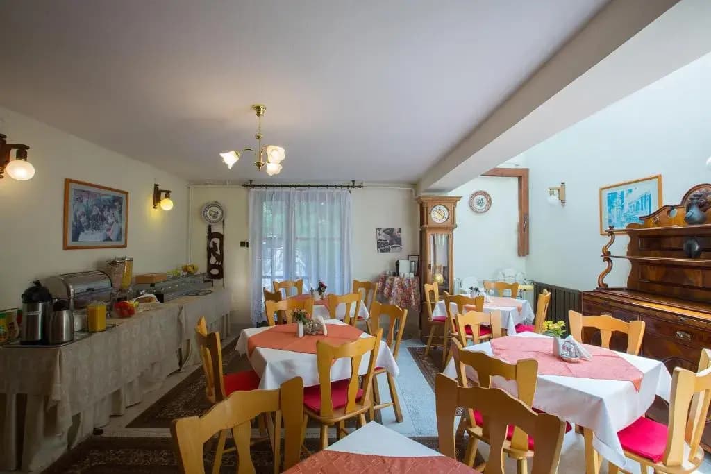 Helios Hotel Pension - photo 36