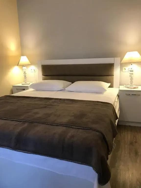 Aleon Hotel - photo 5